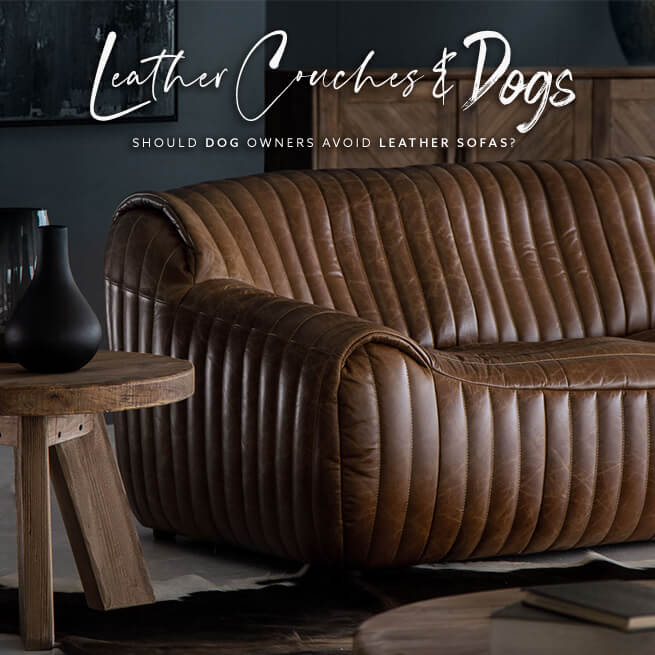 Leather Sofa Dogs - 1 : Upgrade your pup's standard dog bed with a luxury couch or sofa fit for